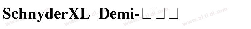SchnyderXL Demi字体转换